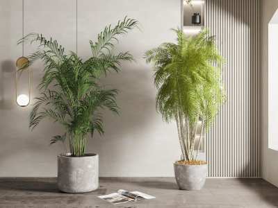 现代绿植盆栽3D模型下载